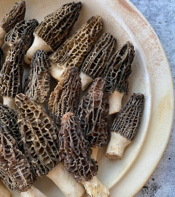 Himalayan Black Morel Mushrooms Domaine Caviar