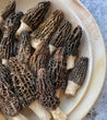 Himalayan Gucchi Morel Mushrooms
