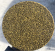 Golden Kaluga Hybrid - Large Grain Caviar
