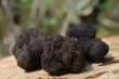 Winter Black Périgord Truffles - First Class